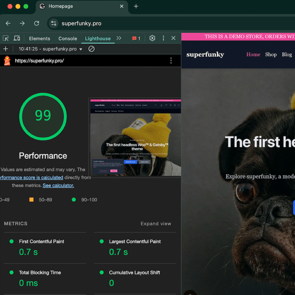 PageSpeed Performance