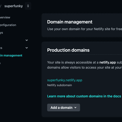 DNS settings for headless setup with Netlify